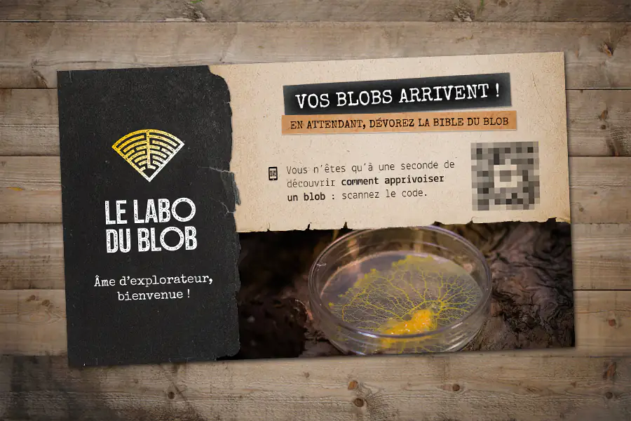Carte cadeau à imprimer