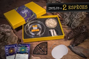 Coffret kit Labo du Blob avec 2 espèces, 2 cartes blob et un labyrinthe