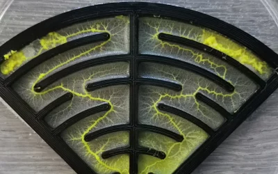 The Blob Race – The Maze