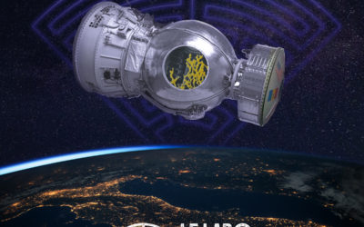 The Blob: a Space Traveler?