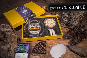Coffret kit Labo du Blob avec 2 blobs, une carte blob et un labyrinthe
