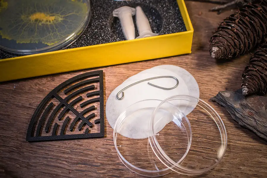 coffret kit labo du blob avec labyrinthe, boîte de pétri, ustensile de découpe et supports de régénérescence