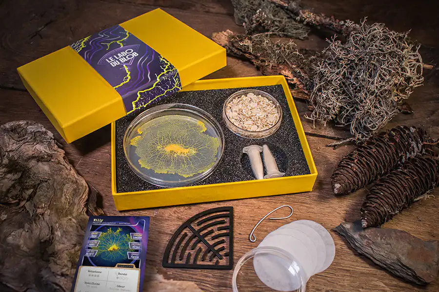 Coffret kit Labo du Blob avec un blob réveillé, 2 cartes et un labyrinthe