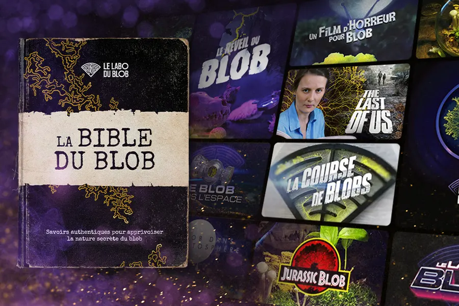 La couverture de La Bible du Blob ainsi que des vignettes des expériences proposées avec les coffrets